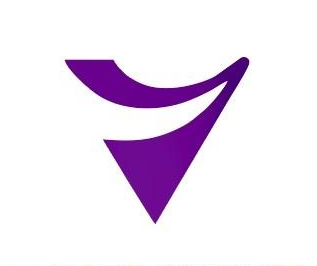 V-light hair extensions logo